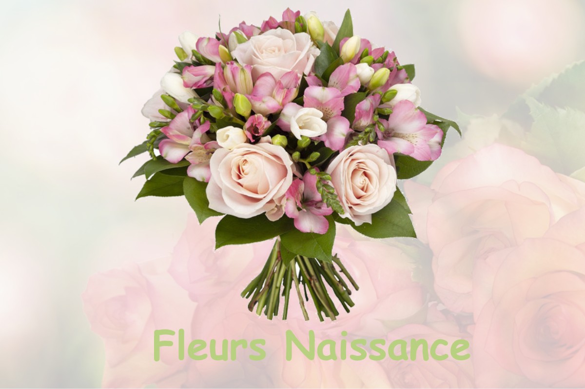 fleurs naissance DENNEVILLE