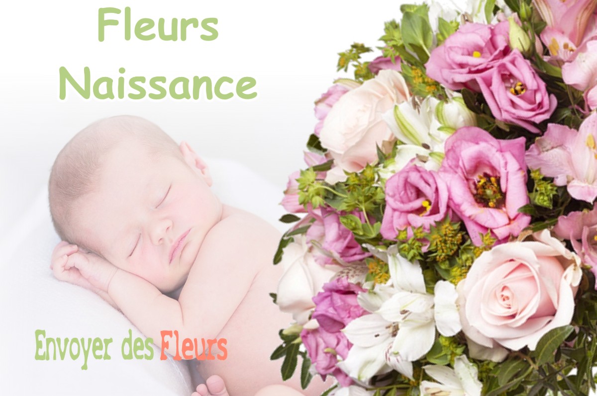 lIVRAISON FLEURS NAISSANCE à DENNEVILLE